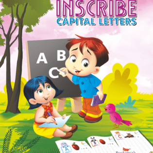 INSCRIBE Capital Letter